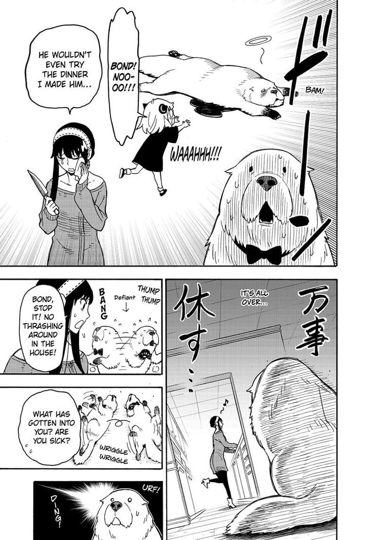 Spy x Family, Chapter 40 image 08